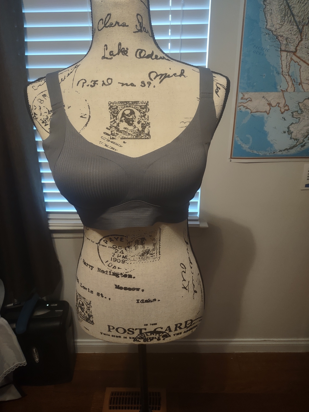 Amazon Seamless Wireless Bra in Gray - Everyday Comfort